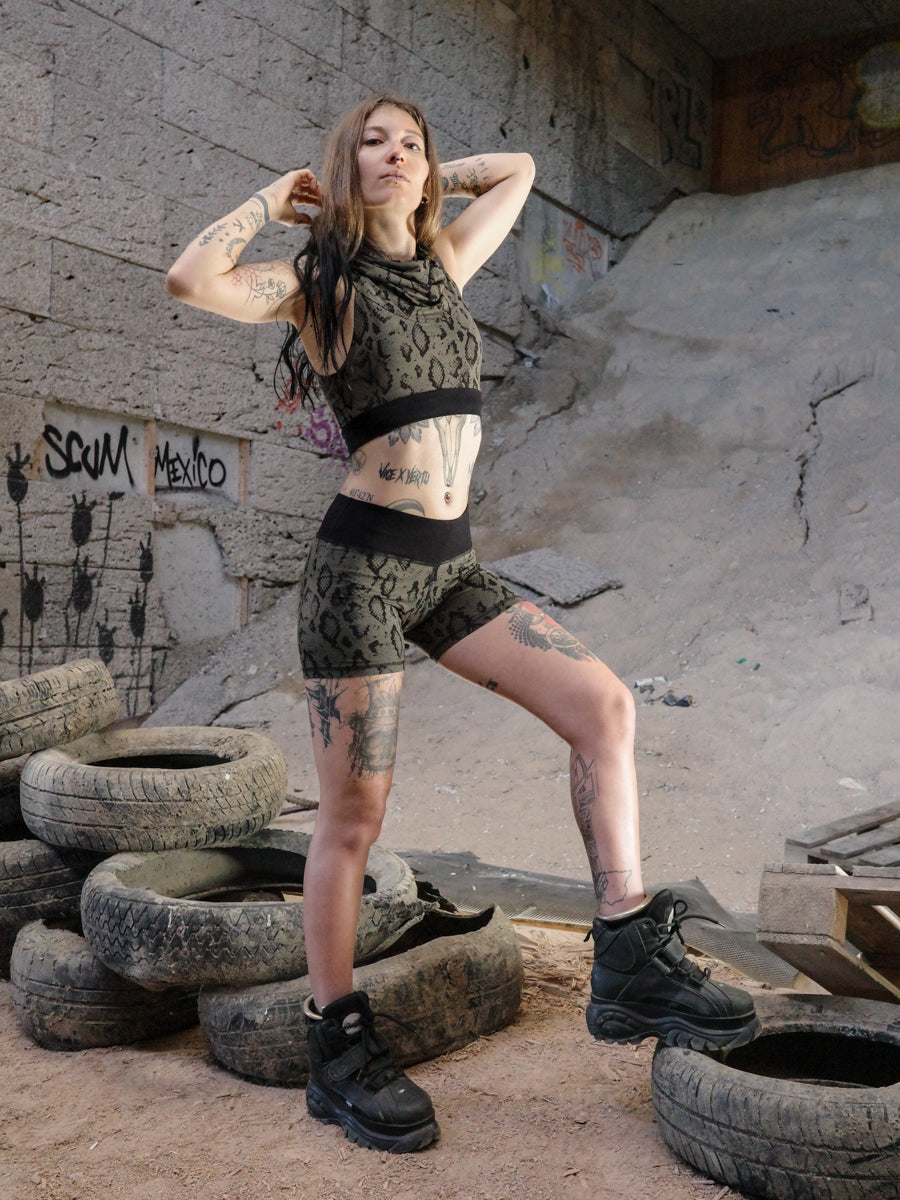 YOGI ✦ SNAKE ✦ LICHEN