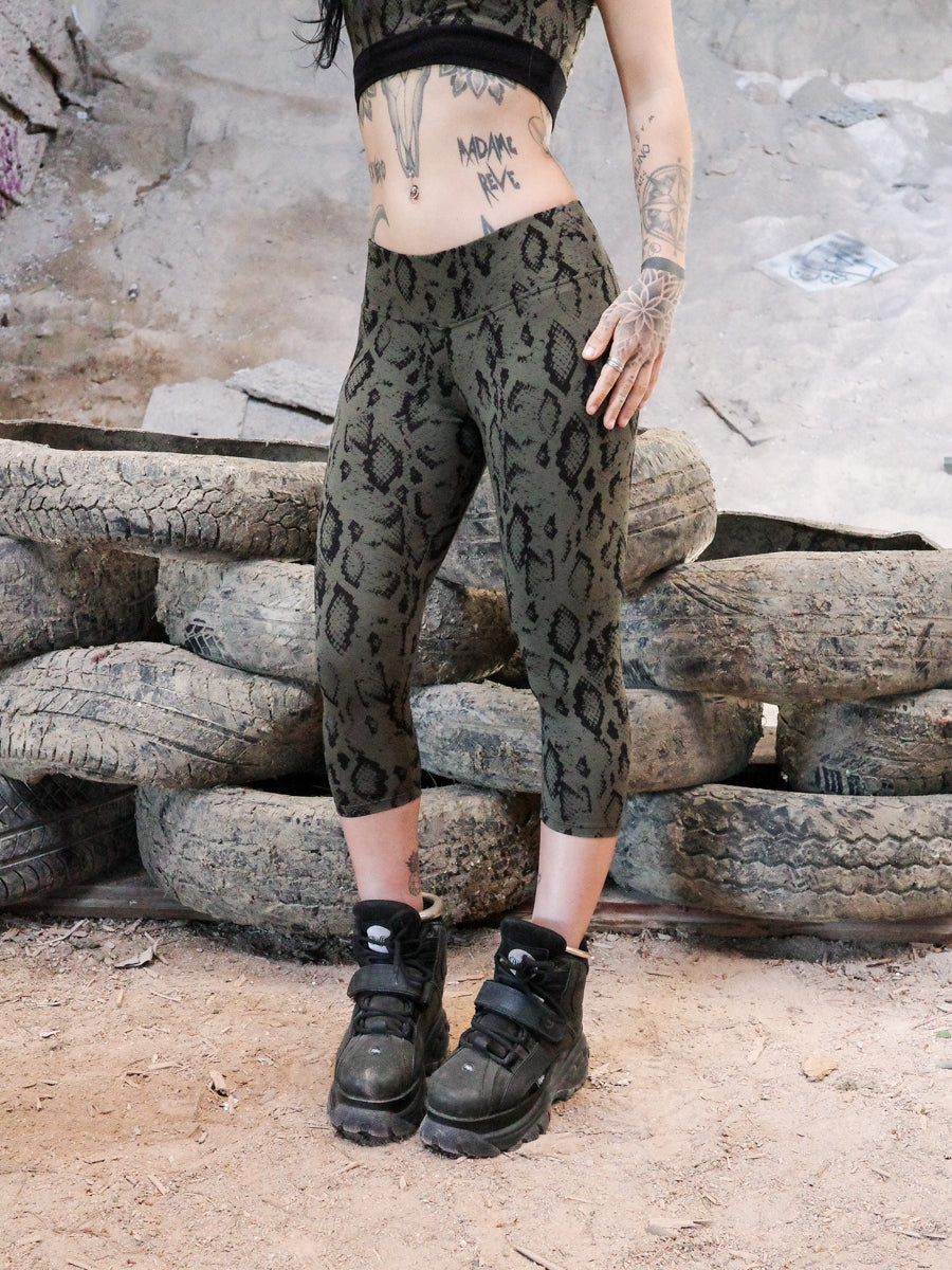 COBRA ✦ SNAKE ✦ LICHEN