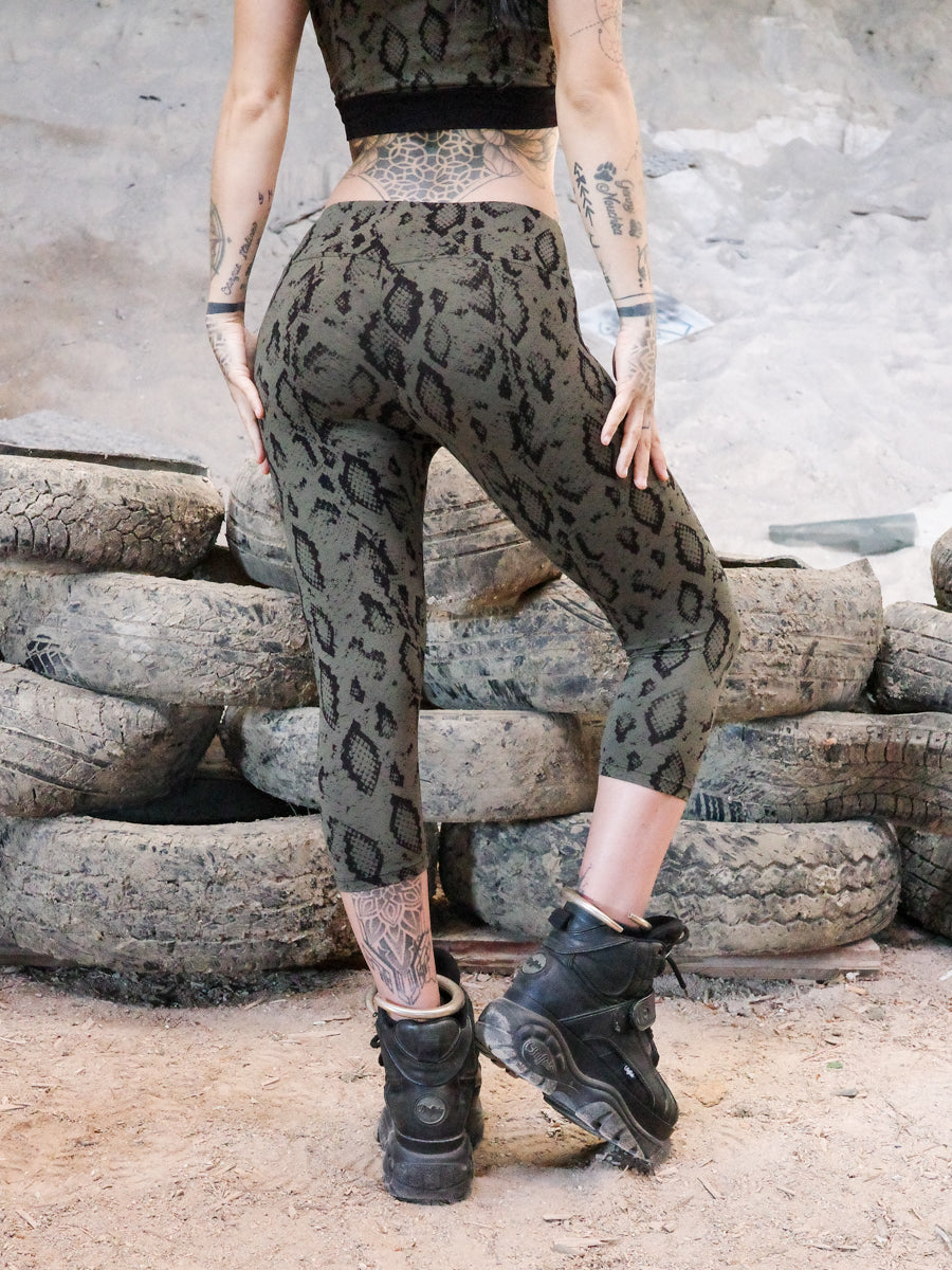 COBRA ✦ SNAKE ✦ LICHEN