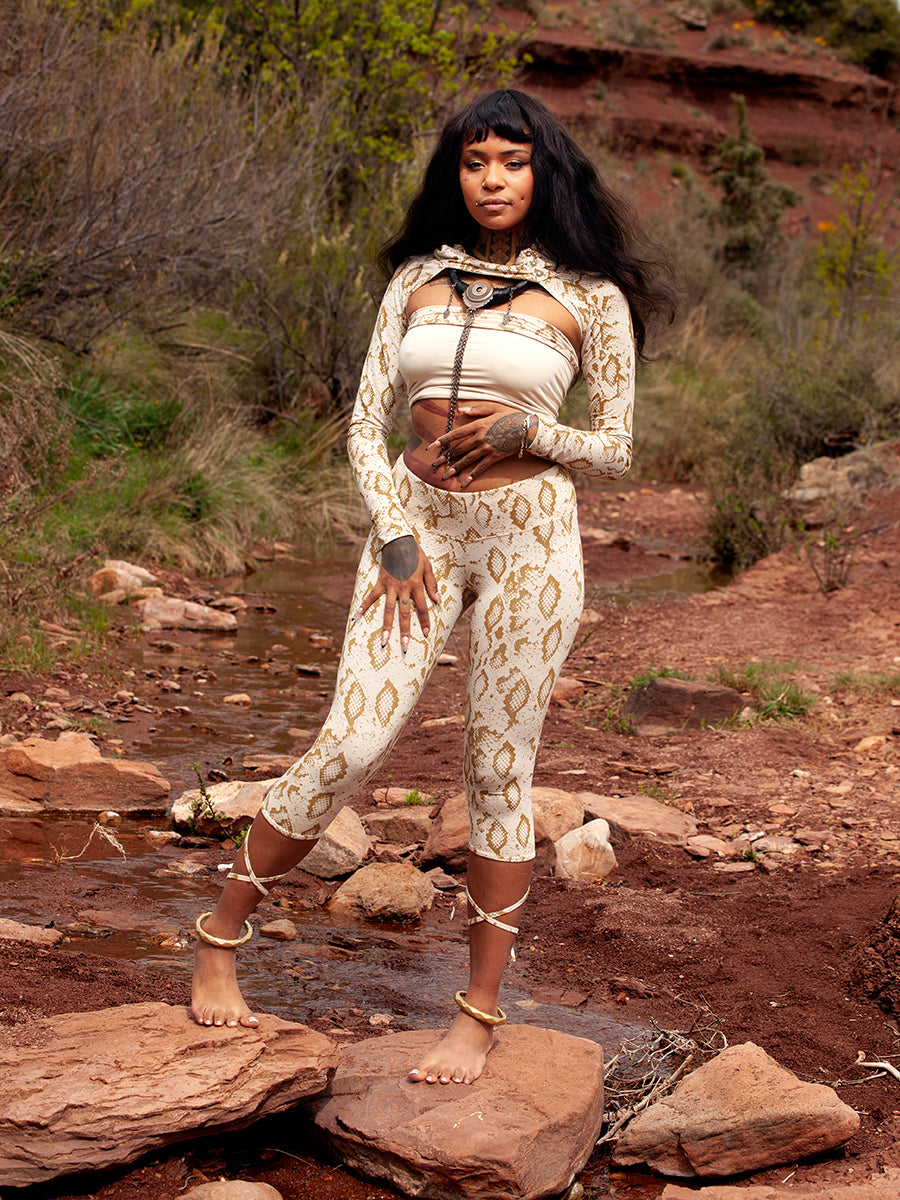 QUANTUM ✦ SNAKE ✦ GINGER