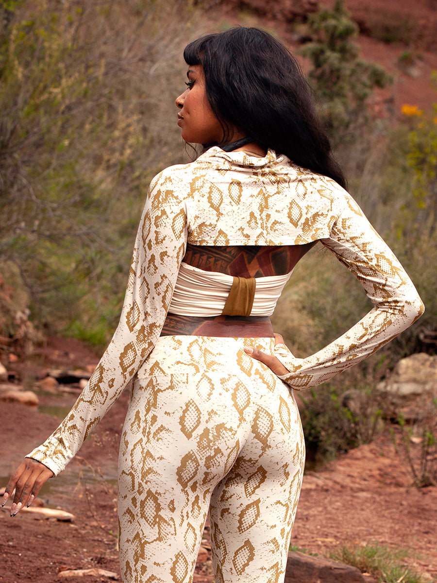 QUANTUM ✦ SNAKE ✦ GINGER