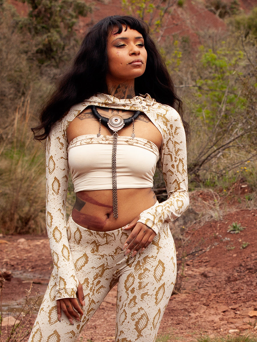 QUANTUM ✦ SNAKE ✦ GINGER